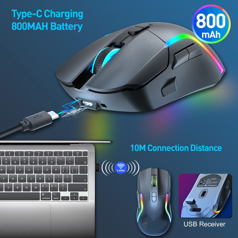 Dual-Mode Wireless Gaming Mouse,2.4G + Bluetooth 5.0, 4 DPI Levels , RGB Lighting, 600mAh Battery, Type-C Rechargeable,8 Buttons